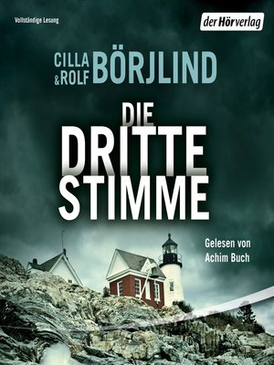 cover image of Die dritte Stimme